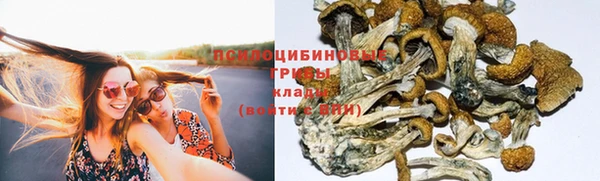 ALPHA PVP Бугульма