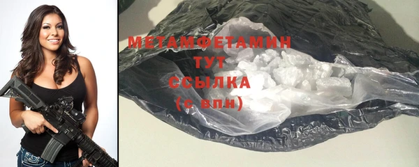 крисы Бородино