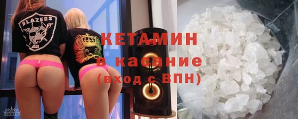 крисы Бородино