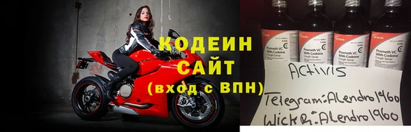 крисы Бородино