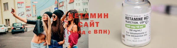 крисы Бородино