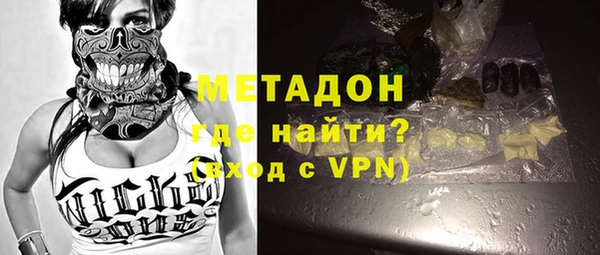 крисы Бородино