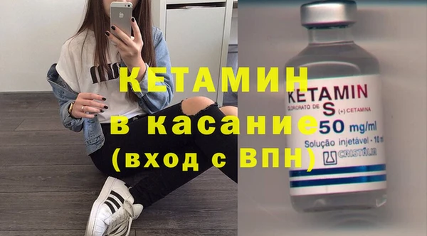 крисы Бородино