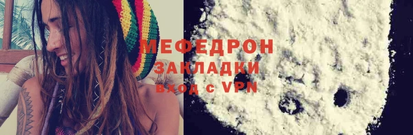 крисы Бородино